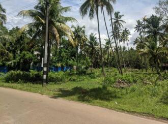 Commercial Land for Sale in Alleppey, Cherthala, Vayalar, Plumeria Resort, Vayalar, Cherthala