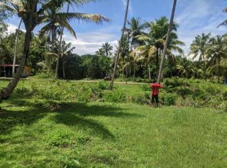 Commercial Land for Sale in Alleppey, Cherthala, Vayalar, Plumeria Resort, Vayalar, Cherthala