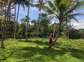 Commercial Land for Sale in Alleppey, Cherthala, Vayalar, Plumeria Resort, Vayalar, Cherthala