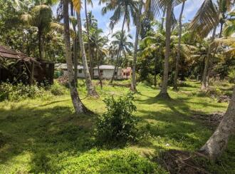 Commercial Land for Sale in Alleppey, Cherthala, Vayalar, Plumeria Resort, Vayalar, Cherthala