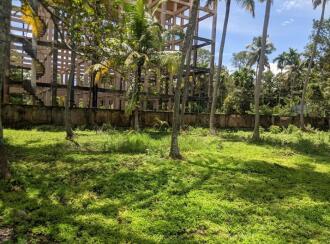 Commercial Land for Sale in Alleppey, Cherthala, Vayalar, Plumeria Resort, Vayalar, Cherthala
