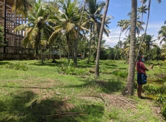 Commercial Land for Sale in Alleppey, Cherthala, Vayalar, Plumeria Resort, Vayalar, Cherthala