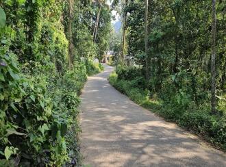 Residential Land for Sale in Trivandrum, Vembayam, Vembayam, Near Thampuranpara View Point