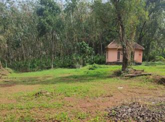 Residential Land for Sale in Alleppey, Chengannur, Ala, On the Sarpathil Padi Road, north of Pennukkara