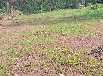 Residential Land for Sale in Alleppey, Chengannur, Ala, On the Sarpathil Padi Road, north of Pennukkara