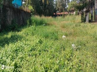 Commercial Land for Sale in Malappuram, Thirurangadi, Chelari, Near mele chelari petrol pump
