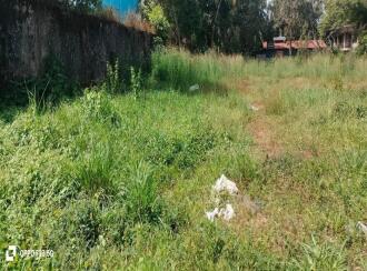 Commercial Land for Sale in Malappuram, Thirurangadi, Chelari, Near mele chelari petrol pump