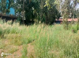 Commercial Land for Sale in Malappuram, Thirurangadi, Chelari, Near mele chelari petrol pump