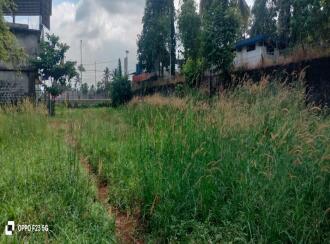 Commercial Land for Sale in Malappuram, Thirurangadi, Chelari, Near mele chelari petrol pump