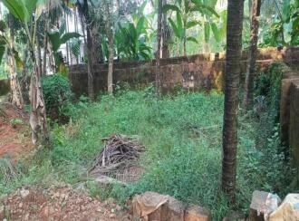 Residential Land for Sale in Kozhikode, Mavoor, Poovattuparamba, Women's Industrial Center at Perumanpura