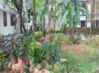 Residential Land for Sale in Kozhikode, Mavoor, Poovattuparamba, Women's Industrial Center at Perumanpura