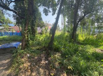 Residential Land for Sale in Ernakulam, Vypin, Elamkunnapuzha