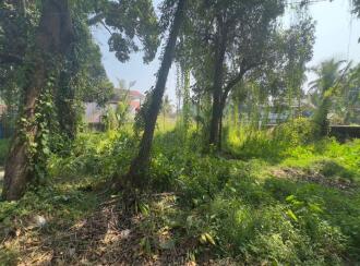 Residential Land for Sale in Ernakulam, Vypin, Elamkunnapuzha