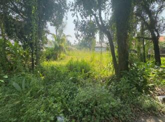 Residential Land for Sale in Ernakulam, Vypin, Elamkunnapuzha