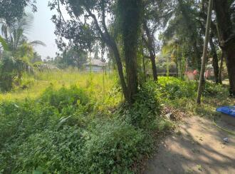 Residential Land for Sale in Ernakulam, Vypin, Elamkunnapuzha