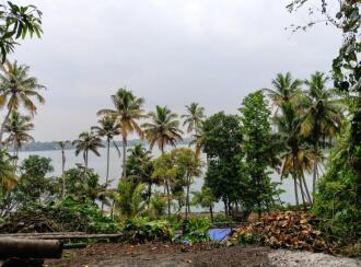 Residential Land for Sale in Kollam, Kollam, Kureepuzha, Kureepuzha