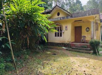 Residential Land for Sale in Idukki, Thokkupara, Thokkupara