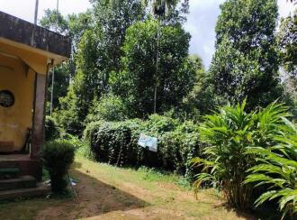 Residential Land for Sale in Idukki, Thokkupara, Thokkupara