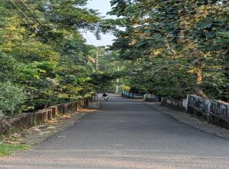 Residential Land for Sale in Ernakulam, Angamaly, Thuravoor, Uthuppukavala