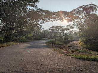 Residential Land for Sale in Ernakulam, Angamaly, Thuravoor, Uthuppukavala