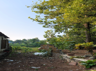 Residential Land for Sale in Ernakulam, Angamaly, Thuravoor, Uthuppukavala