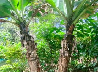 Residential Land for Sale in Idukki, Vagamon, Vagamon, mathaippara