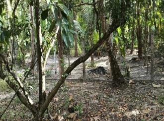 Residential Land for Sale in Thrissur, Thrissur, Anthikad, Kandassankadavu