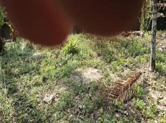 Residential Land for Sale in Thrissur, Thrissur, Anthikad, Kandassankadavu