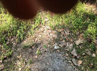 Residential Land for Sale in Thrissur, Thrissur, Anthikad, Kandassankadavu