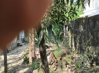 Residential Land for Sale in Thrissur, Thrissur, Anthikad, Kandassankadavu