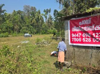 Residential Land for Sale in Palakkad, Palakkad, Parli
