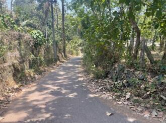 Residential Land for Sale in Pathanamthitta, Thiruvalla, Kunnamthanam