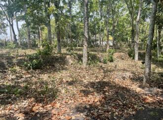 Residential Land for Sale in Pathanamthitta, Thiruvalla, Kunnamthanam