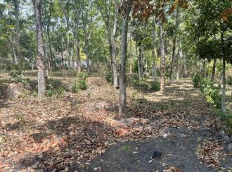 Residential Land for Sale in Pathanamthitta, Thiruvalla, Kunnamthanam