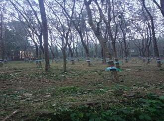 Industrial Land for Sale in Ernakulam, Muvattupuzha, Airapuram