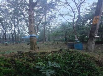 Industrial Land for Sale in Ernakulam, Muvattupuzha, Airapuram