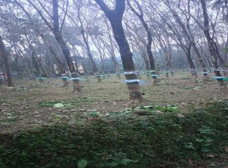 Industrial Land for Sale in Ernakulam, Muvattupuzha, Airapuram