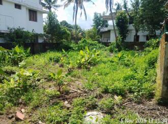Residential Land for Sale in Ernakulam, Aluva, Alangad, Aikarakudi Saidu Road