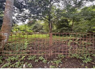 Agricultural Land for SaleThrissur, Mannuthy, Mulayam