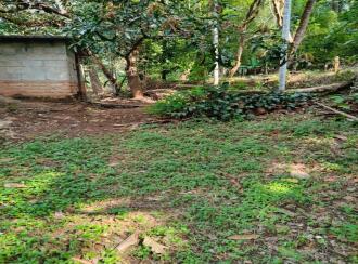Agricultural Land for Sale in Thrissur, Mannuthy, Mulayam, Koottala Mulayam Road
