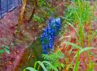 Residential Land for Sale in Alleppey, Cherthala, Kanichukulangara, Cherthala - 11aam mile road