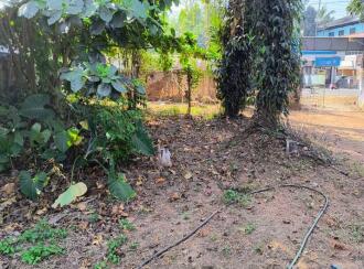 Residential Land for Sale in Ernakulam, Aluva, U C College, aluva to North paravur main road
