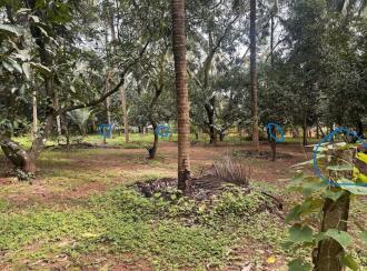 Residential Land for Sale in Thrissur, Wadakanchery, Peringandoor