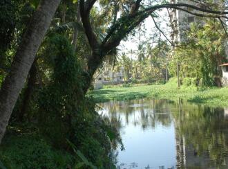 Residential Land for Sale in Ernakulam, Edappally, Edapally, Dr. Ambedkar Road, Palarivattom