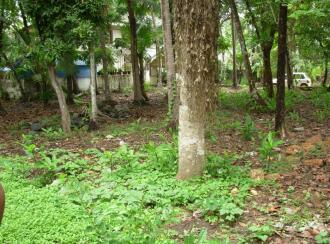 Residential Land for Sale in Ernakulam, Edappally, Edapally, Dr. Ambedkar Road, Palarivattom