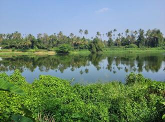 Residential House Villa for Sale in Thrissur, Chalakudy, Kadukutty