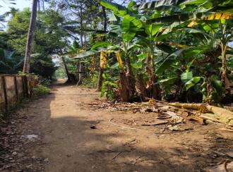 Residential House Villa for Sale in Thrissur, Chalakudy, Kadukutty