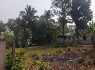 Residential Land for Sale in Palakkad, Palakkad, Chandranagar, Thekkumuri