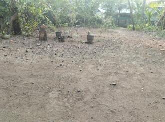 Residential Land for Sale in Ernakulam, Kanayannur, Kanayannur