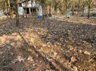 Residential Land for Sale